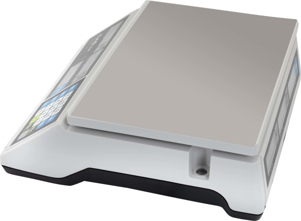 Весы CAS ER JR-30CB купить по низкой цене | МАКСПРОФИТ