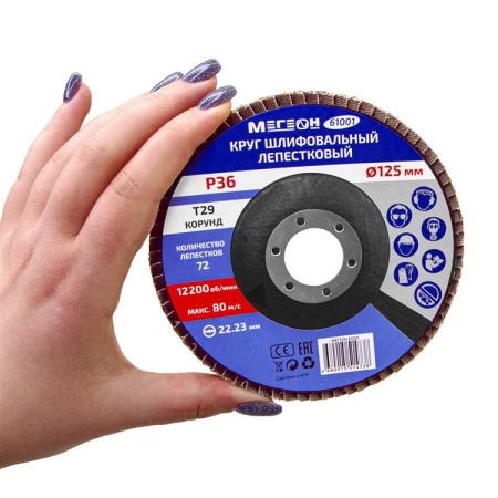 Круг шлифовальный лепестковый комплект МЕГЕОН 61001-10 купить по низкой цене | МАКСПРОФИТ